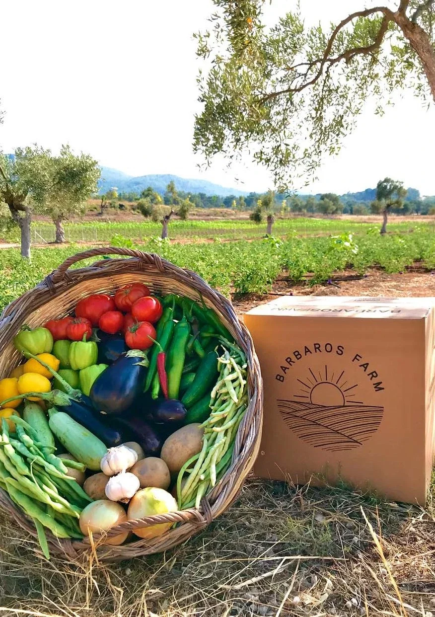Natural Farm Life